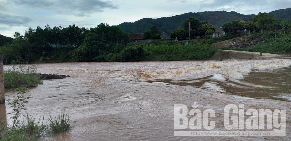 {keywords} {keywords}