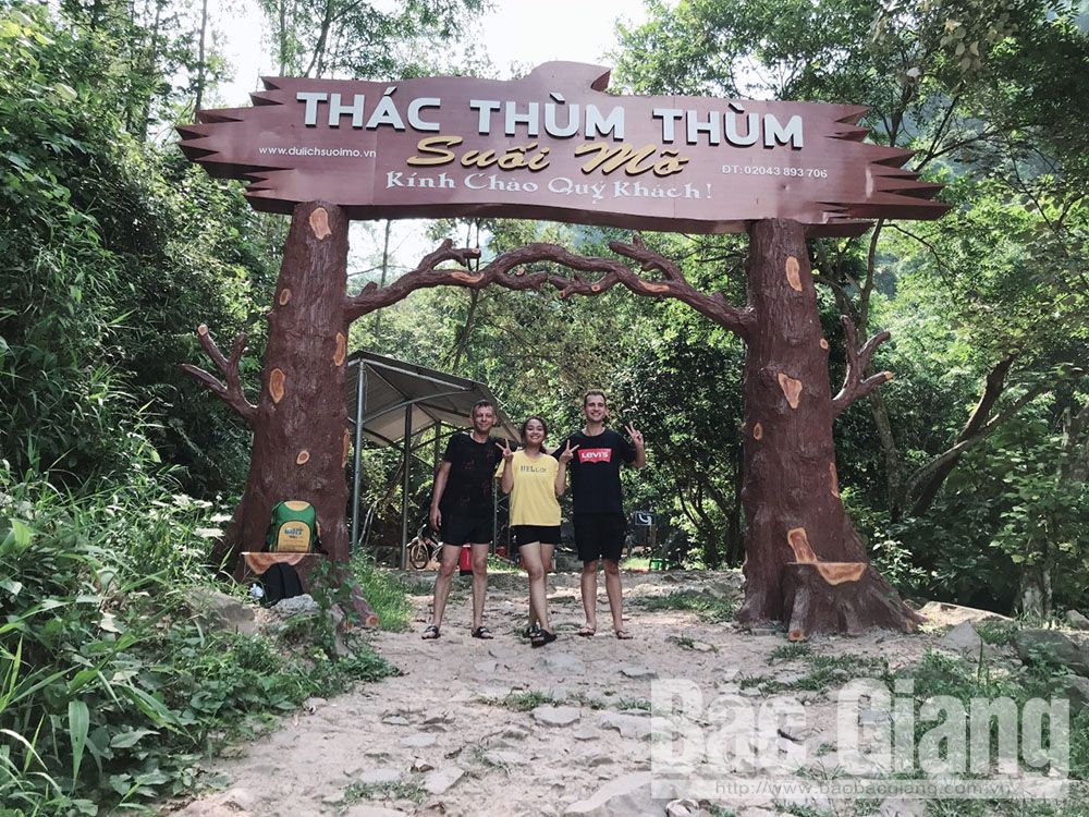 {keywords} {keywords}