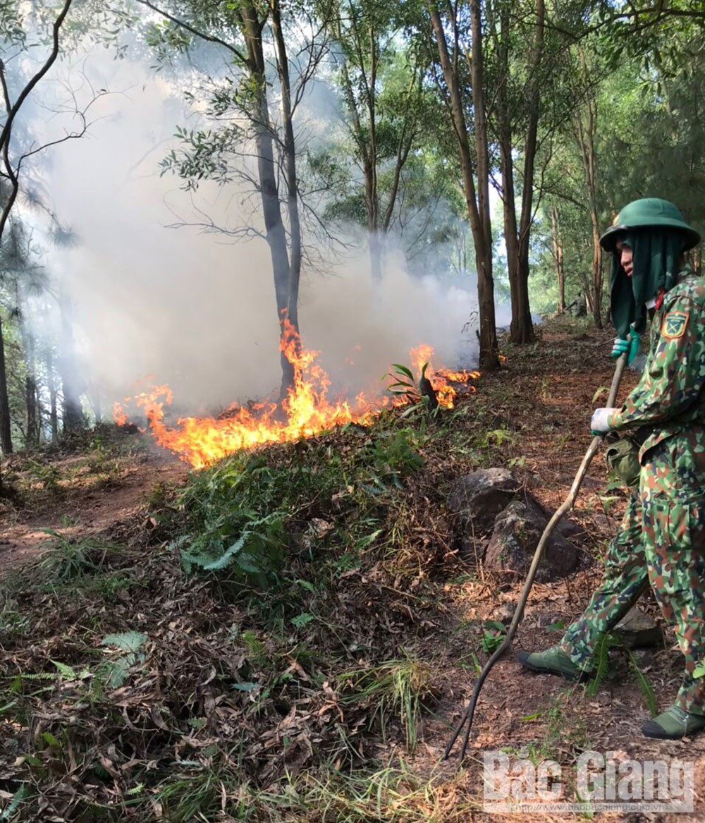 {keywords} {keywords}