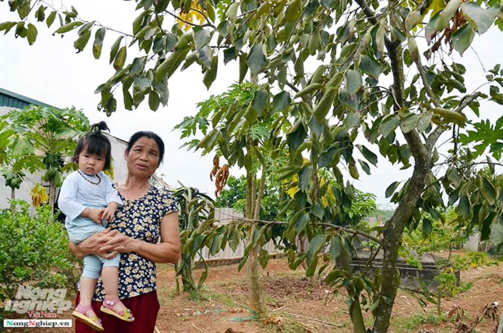 {keywords} {keywords}