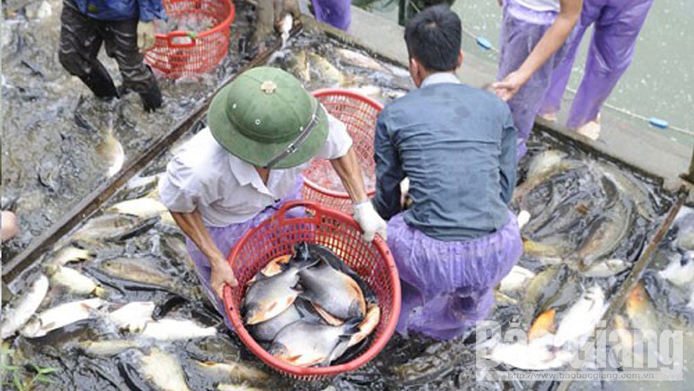 {keywords} {keywords}