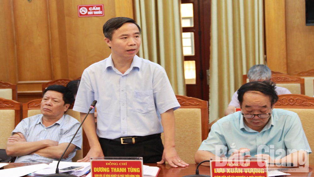 {keywords} {keywords}