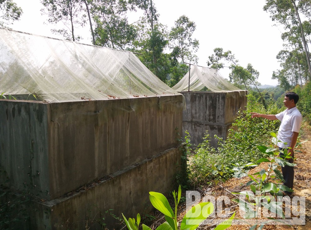 {keywords} {keywords}