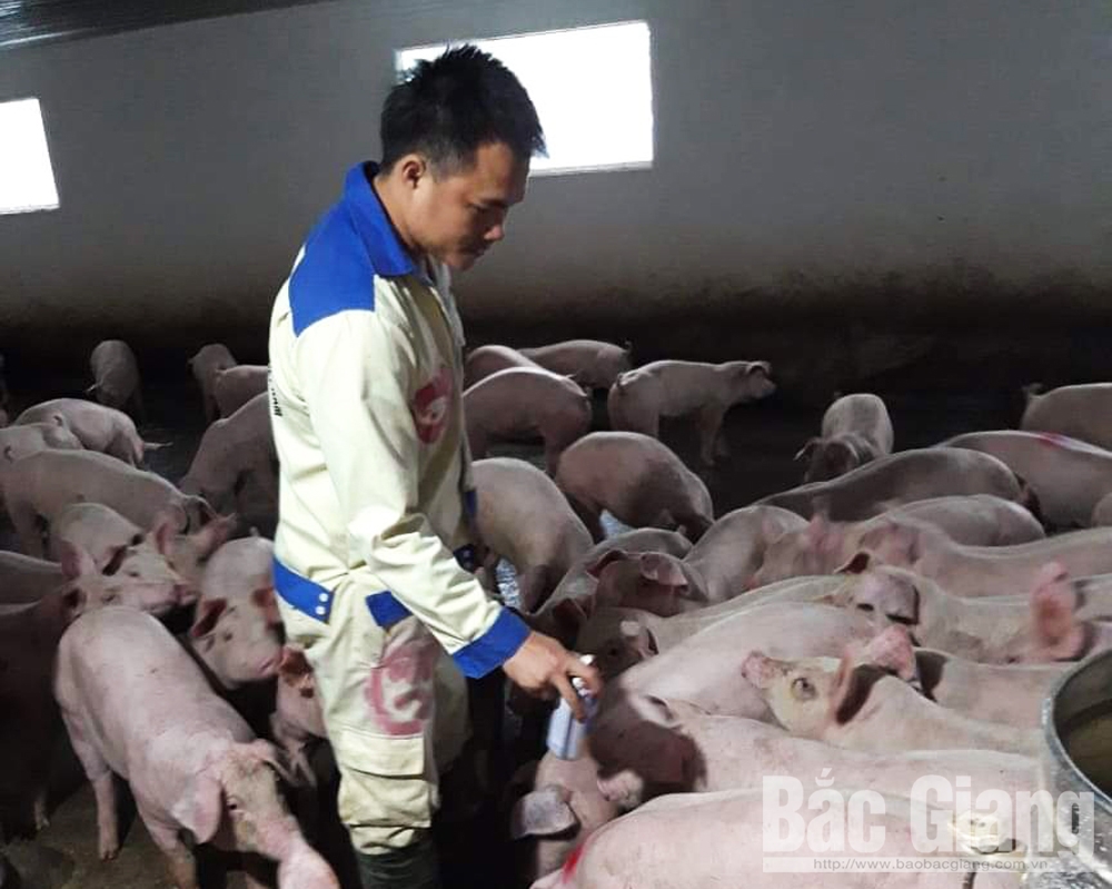 {keywords} {keywords}