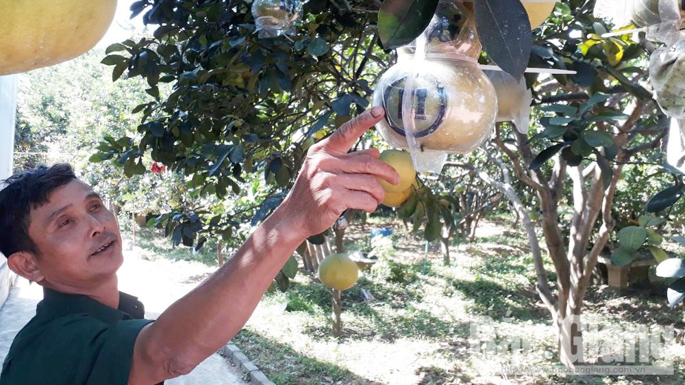 {keywords} {keywords}