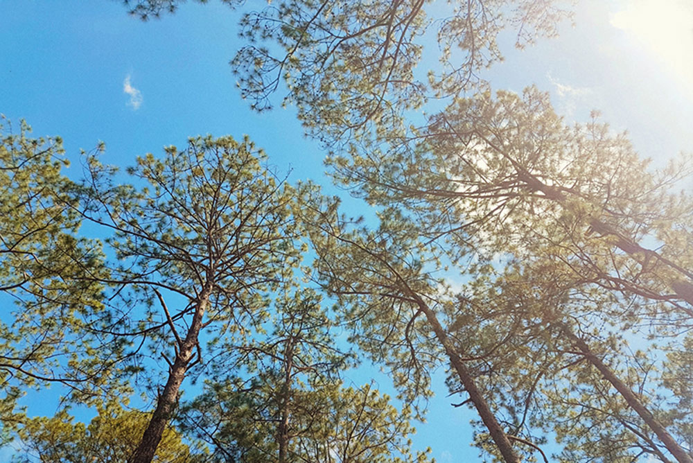 {keywords}