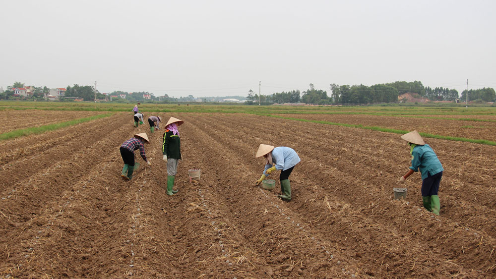 {keywords} {keywords}