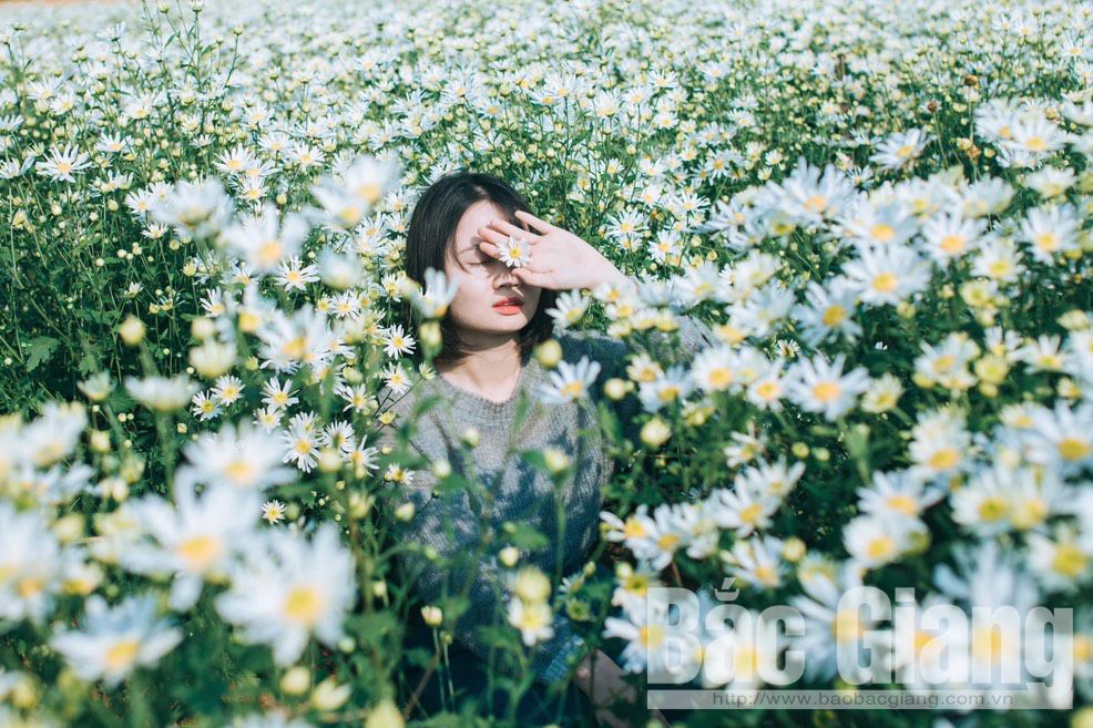 {keywords}