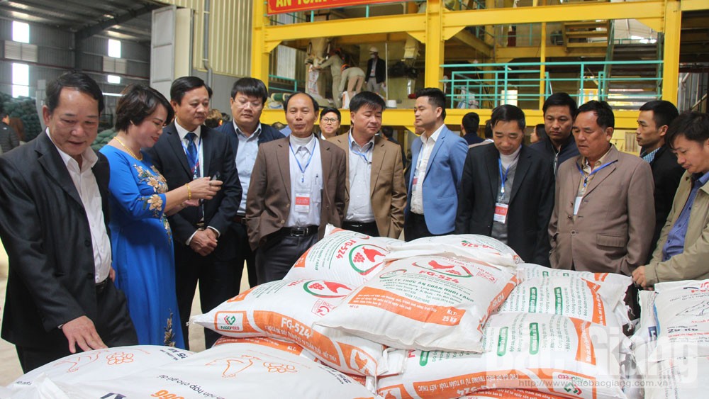 {keywords} {keywords}