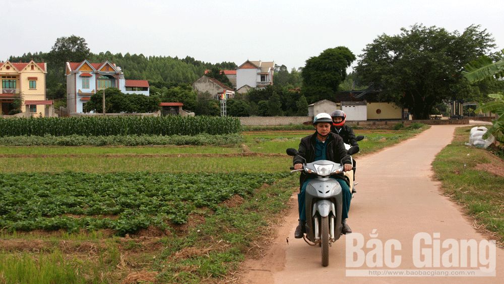 Đổi thay ở Hồ Lương