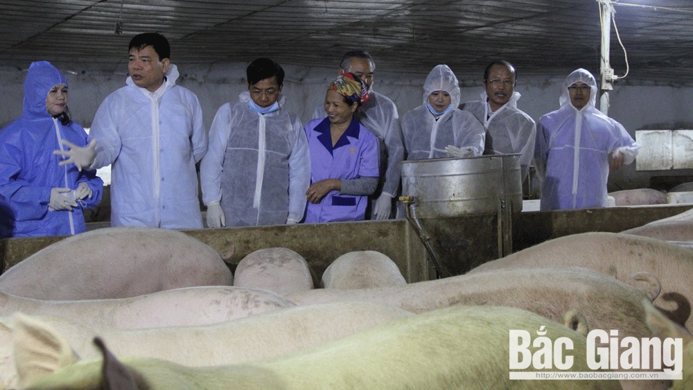 {keywords} {keywords}