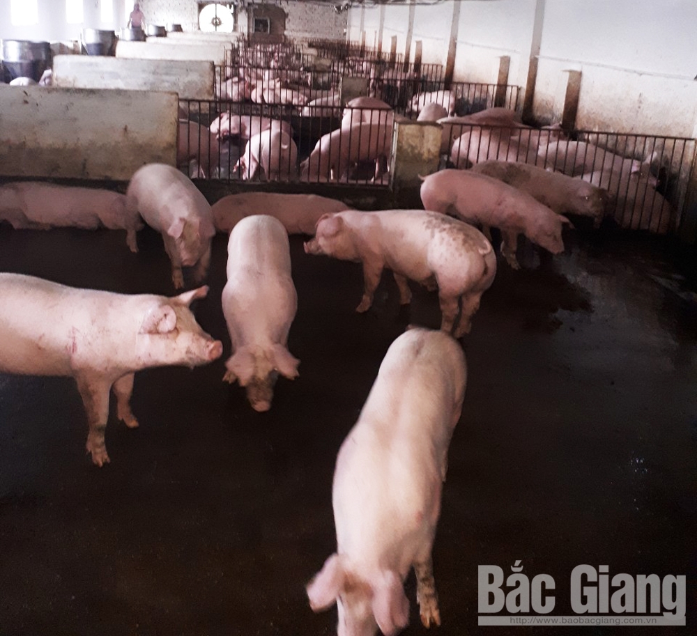 {keywords} {keywords}