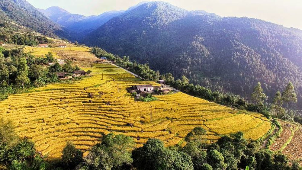 {keywords} {keywords}