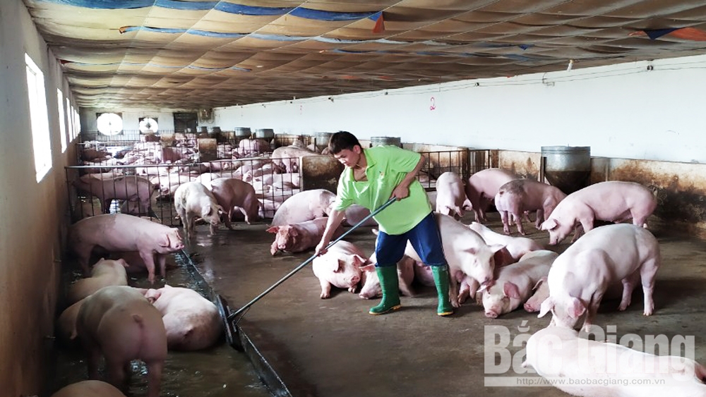 {keywords} {keywords}