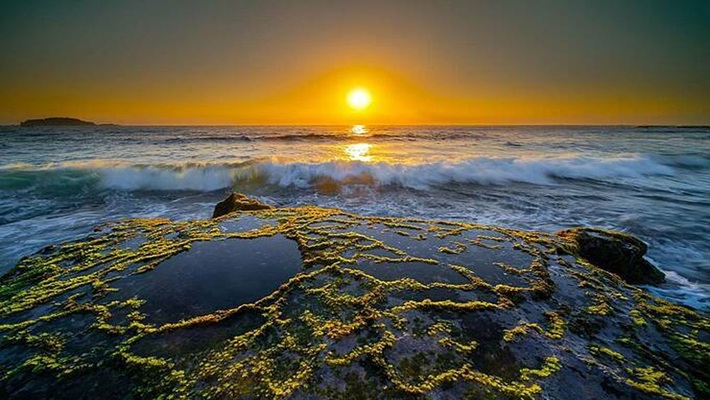 Mesmeric Vietnam through the seasons