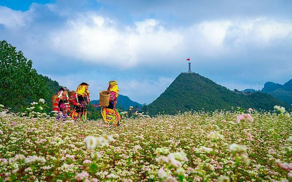 {keywords} {keywords}