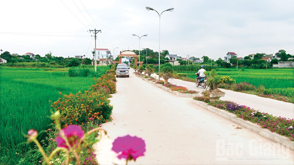 Tiên Lục, mùa dã hương rụng hạt