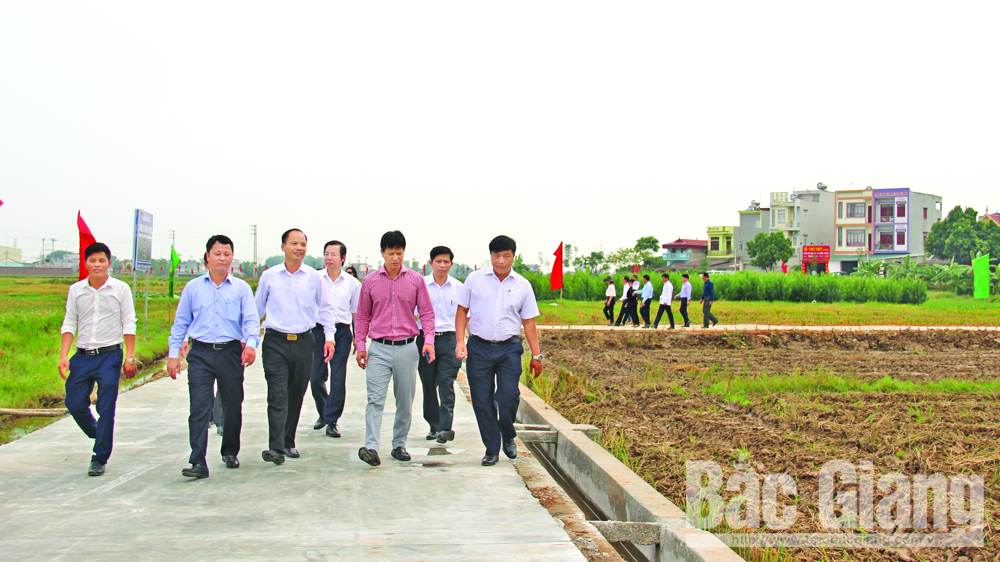 {keywords} {keywords}