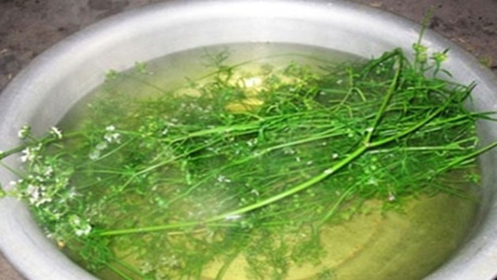 {keywords} {keywords}