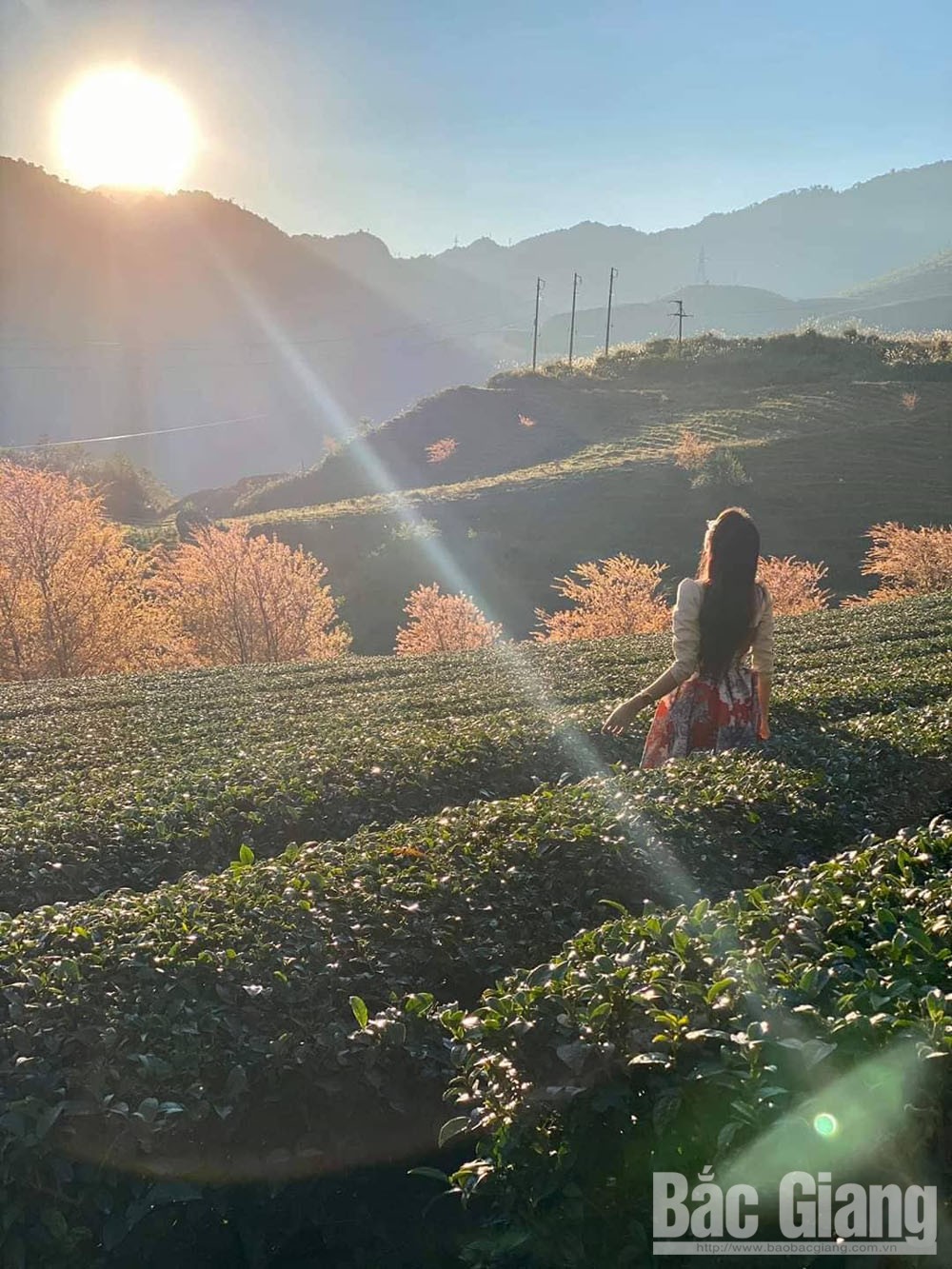 {keywords} {keywords}