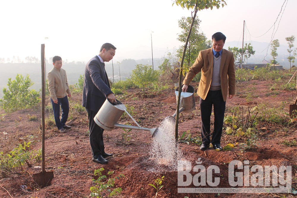 {keywords} {keywords}