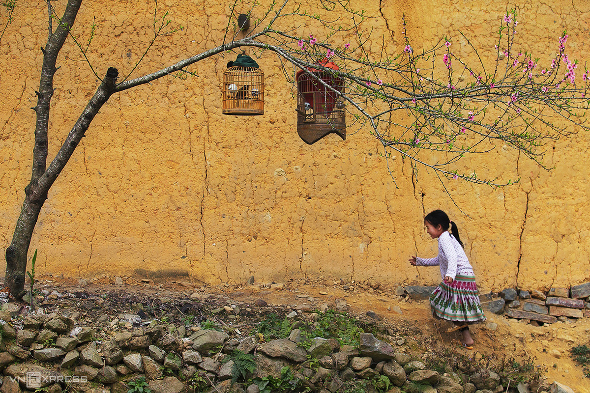 {keywords} {keywords}