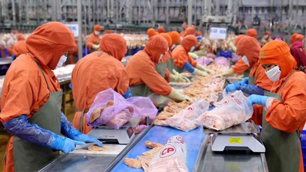 Vietnamese firms invest 30.3 million USD abroad in two months