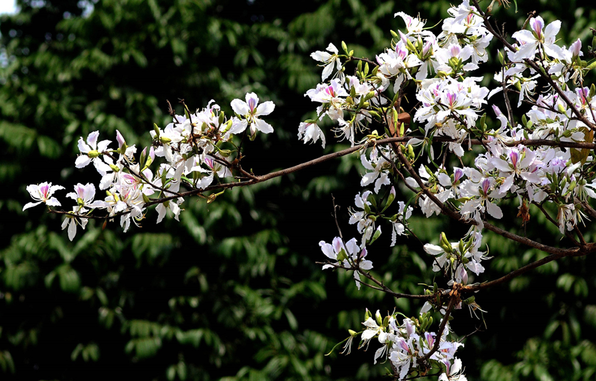 {keywords} {keywords}