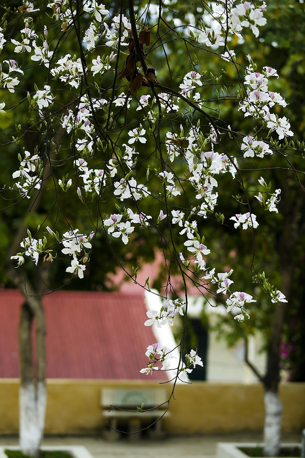 {keywords} {keywords}