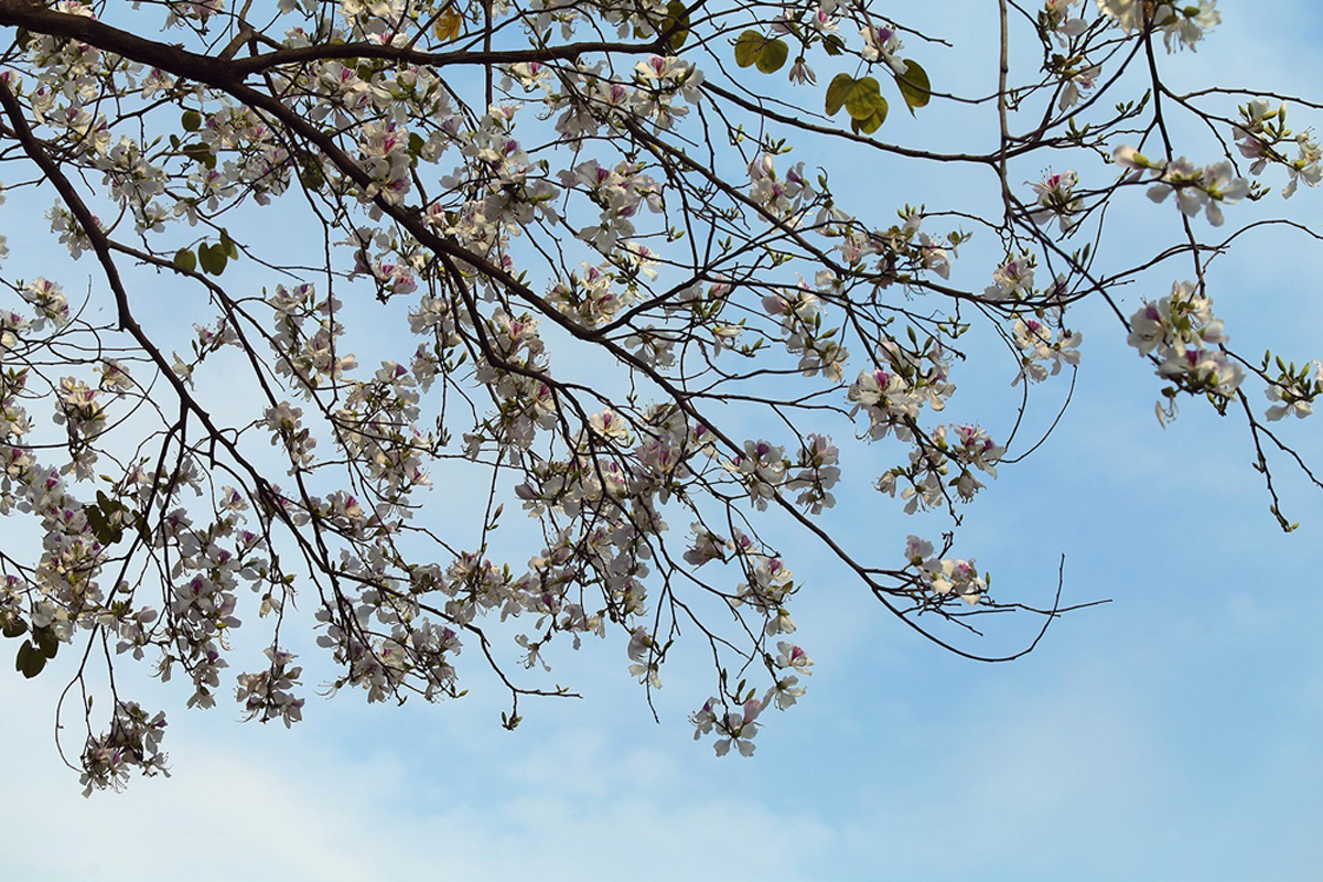 {keywords} {keywords}