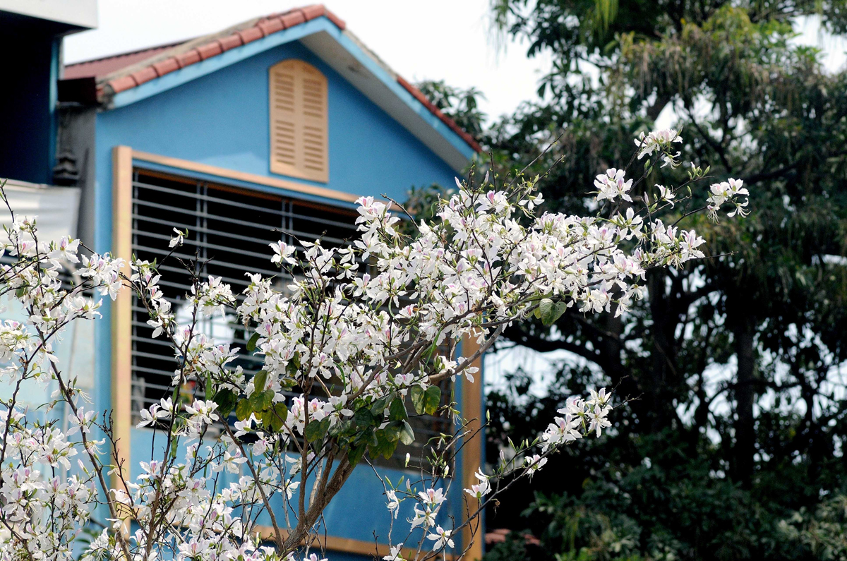 {keywords} {keywords}