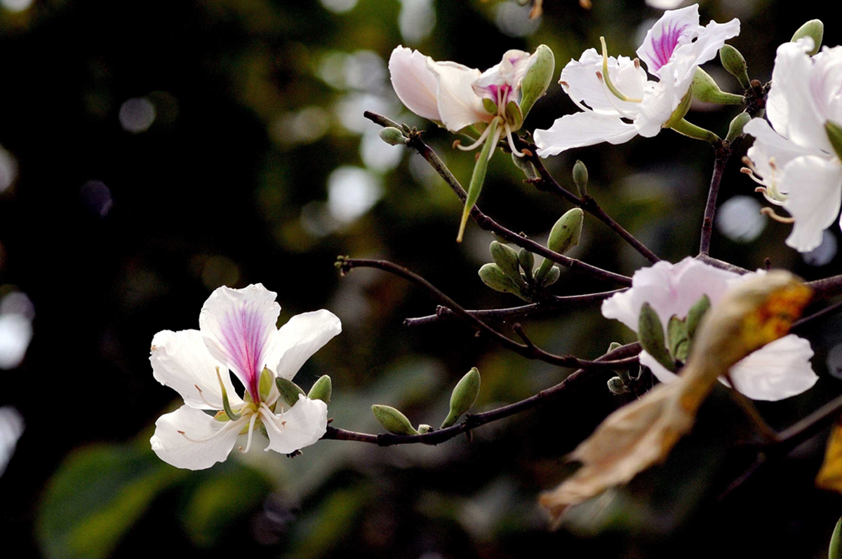 {keywords} {keywords}