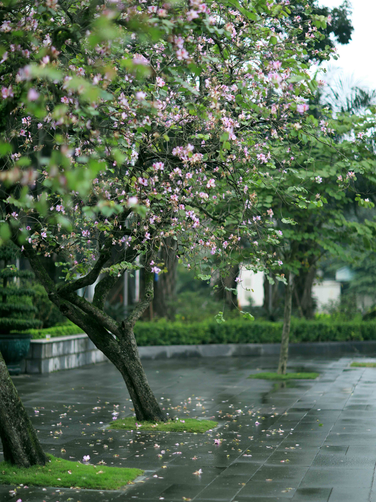 {keywords} {keywords}