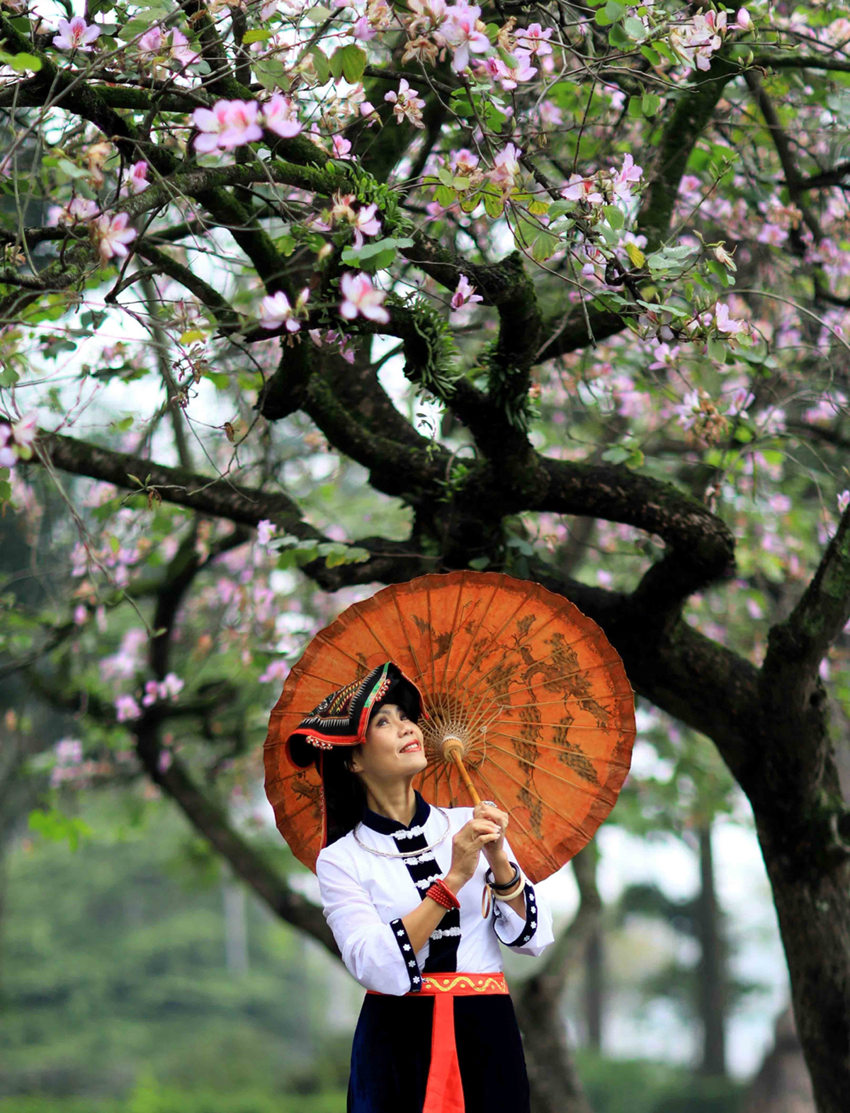 {keywords} {keywords}