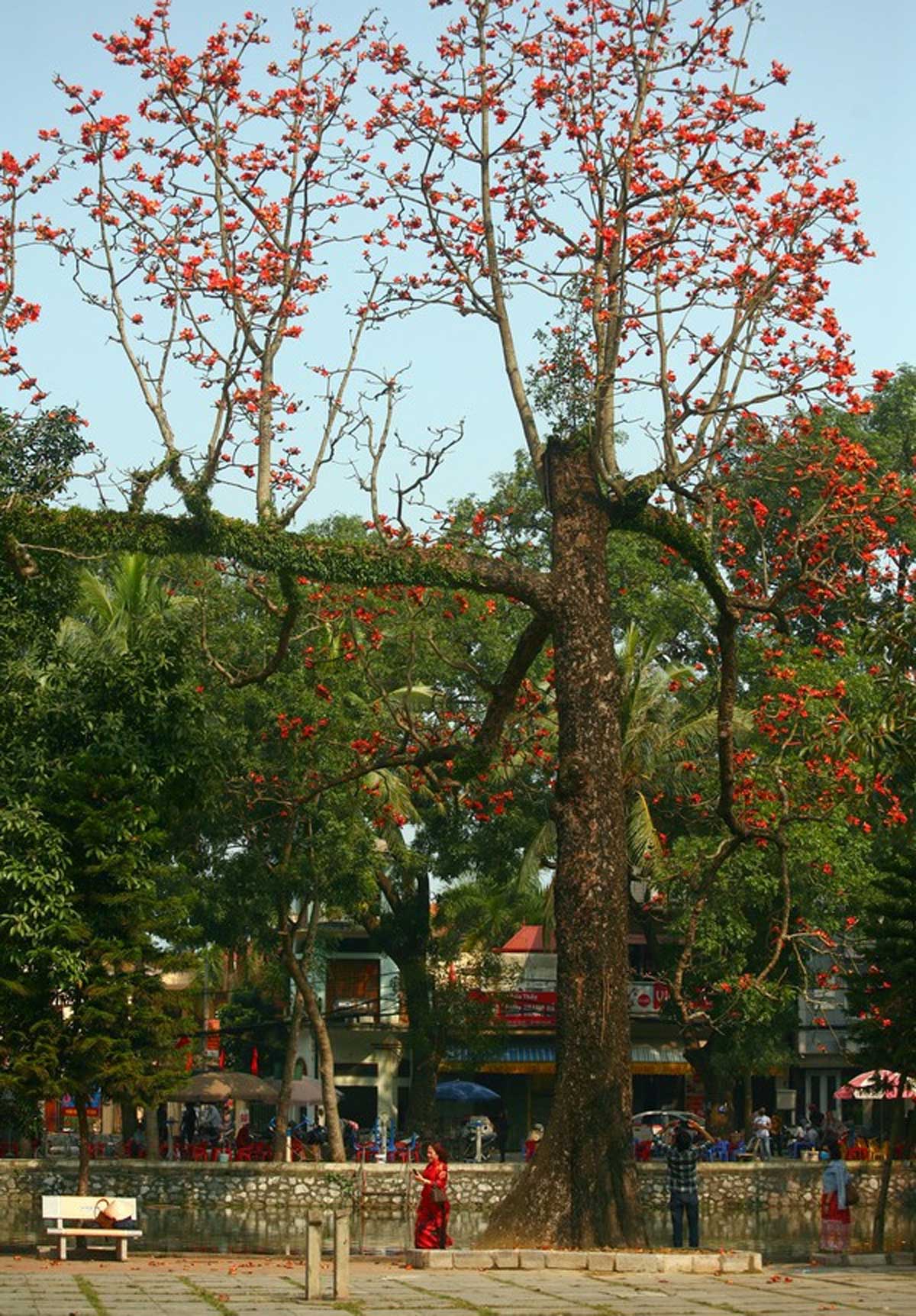 {keywords} {keywords}