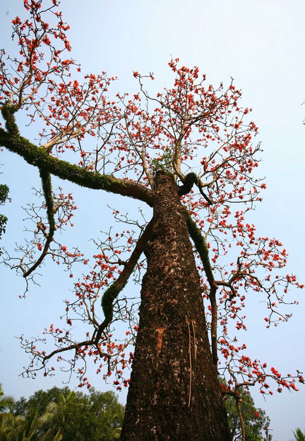 {keywords} {keywords}