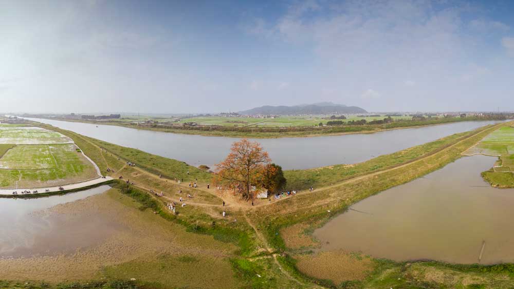 Mùa hoa gạo Bắc Giang