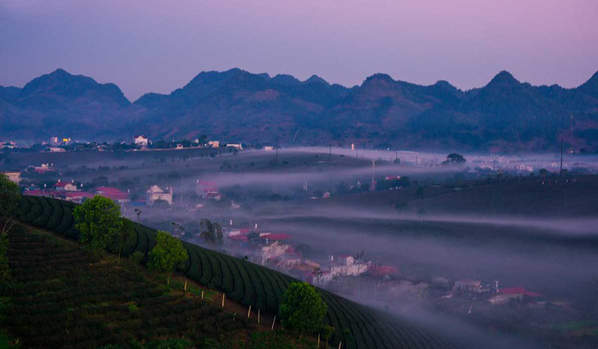 {keywords} {keywords}