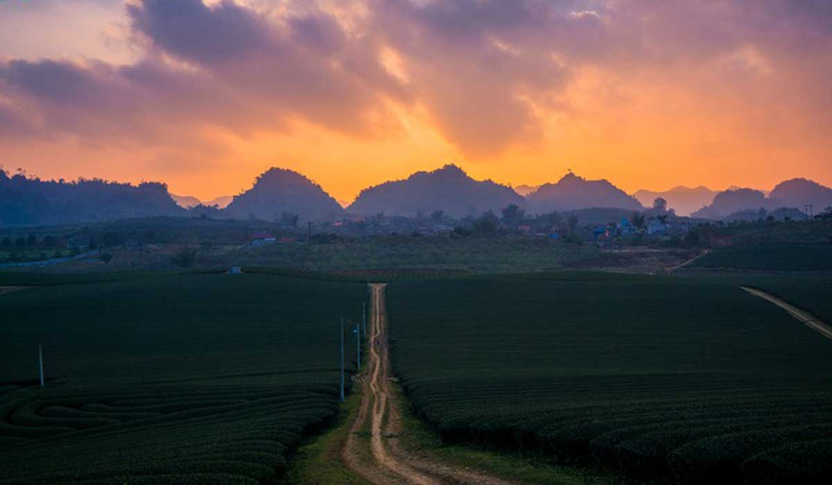 {keywords} {keywords}