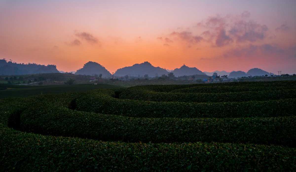 {keywords} {keywords}