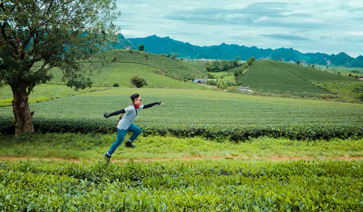 {keywords} {keywords}