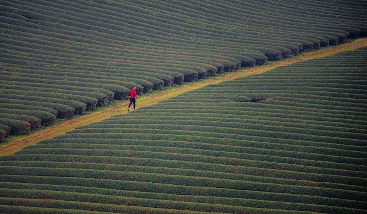 {keywords} {keywords}