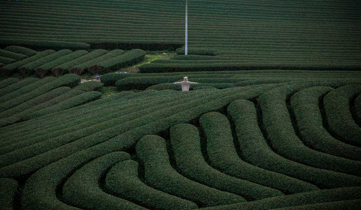 {keywords} {keywords}