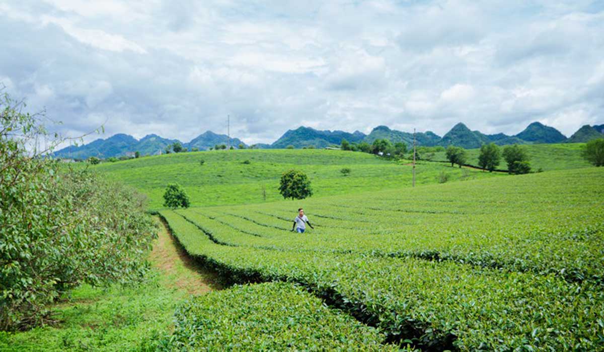 {keywords} {keywords}