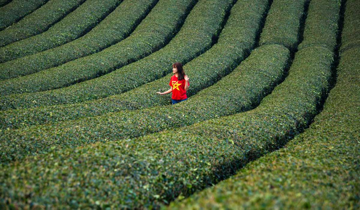 {keywords} {keywords}