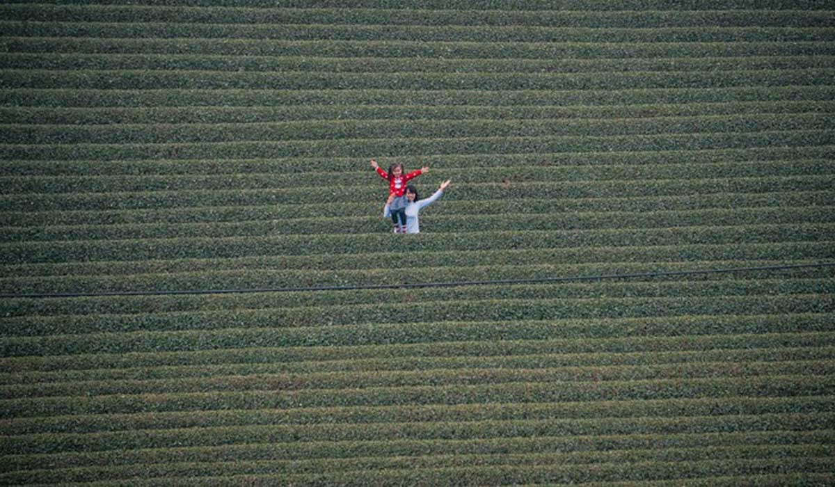 {keywords} {keywords}