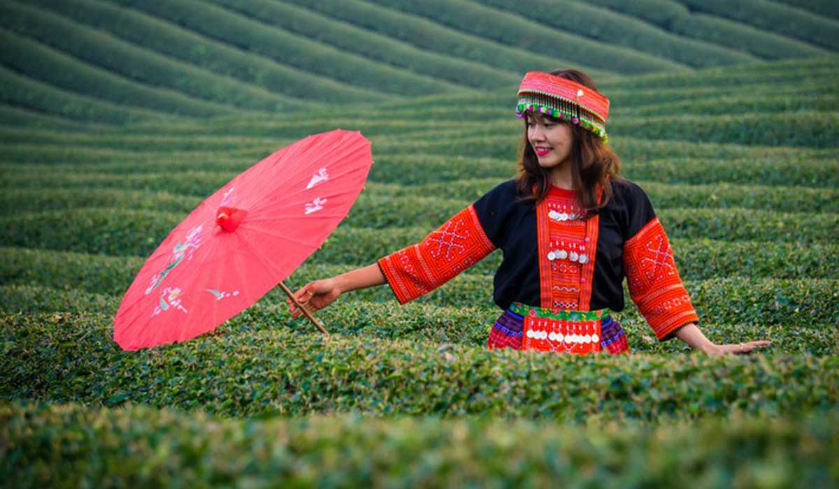 {keywords} {keywords}