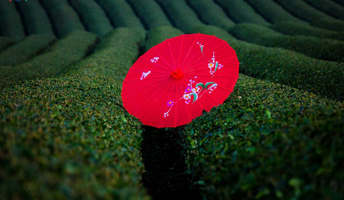 {keywords} {keywords}