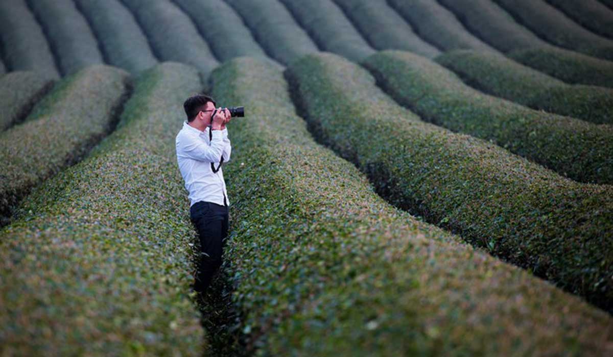 {keywords} {keywords}