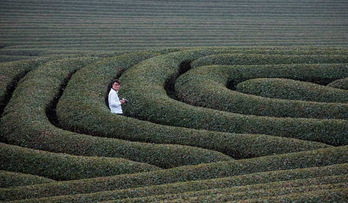 {keywords} {keywords}